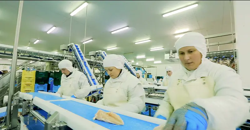 Productivity Analysis